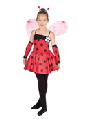 Child's Ladybug Costume