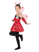 Child's Ladybug Costume