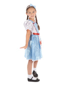 Child's Fairy Tale Girl Costume