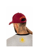 Gryffindor Baseball Cap