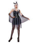 Adult Devil Lady Costume