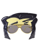 Rock N Roll Star Glasses With Quiff Costume Accessory