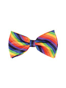 Rainbow Bow Tie Costume Accessory
