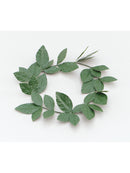 Green Laurel Leaf Headband Costume Accessory