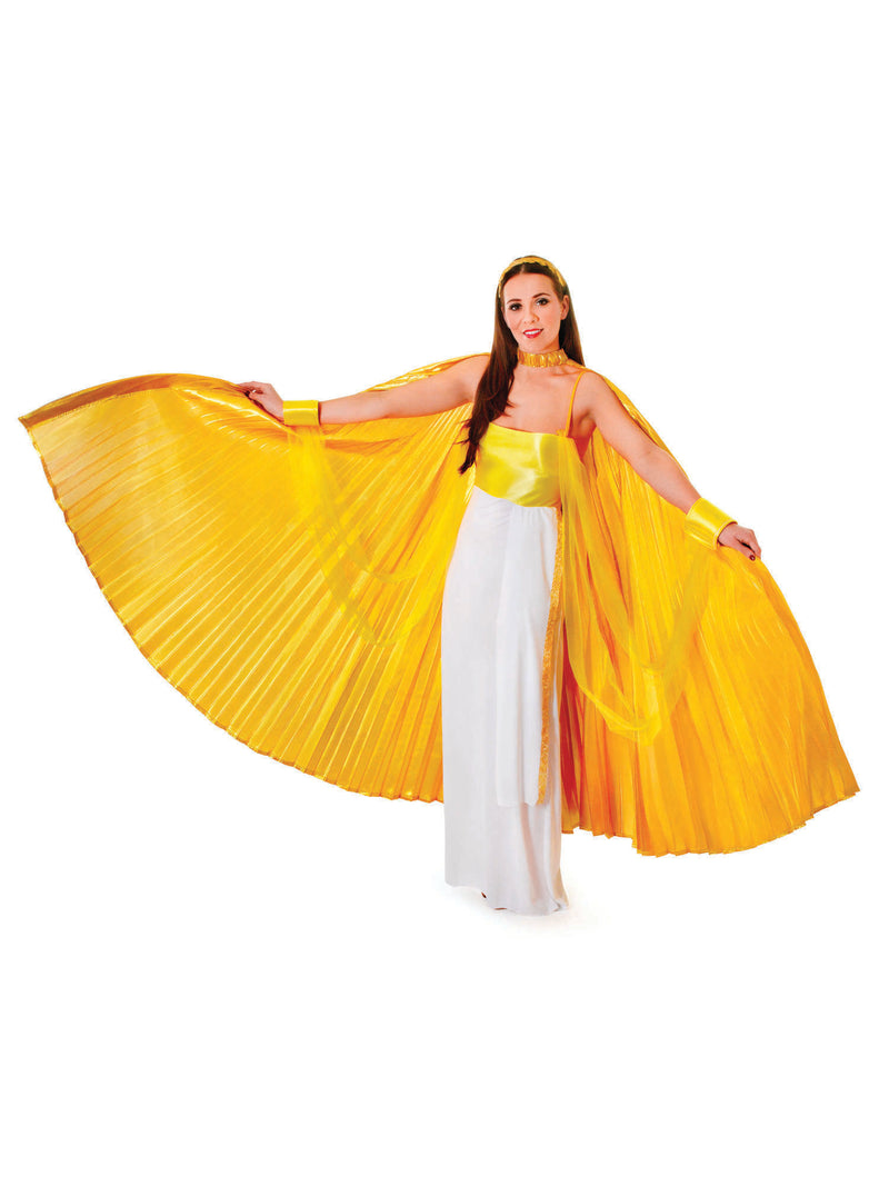 Gold Theatrical Wings Costume Accessory