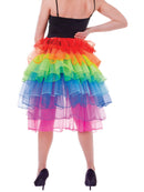 Rainbow Bustle Skirt Costume Accessory