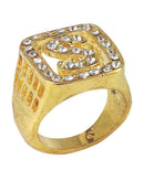 Big Daddy Ring Costume Accessory