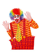 Rainbow Clown Wig