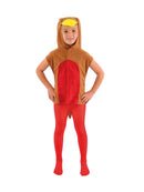 Child's Robin Tabard Costume