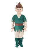 Child's Robin Hood Costume