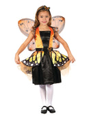 Child's Butterfly Fairy Costume