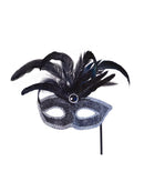 Black Mask with Silver Trim & Feathers On Stick