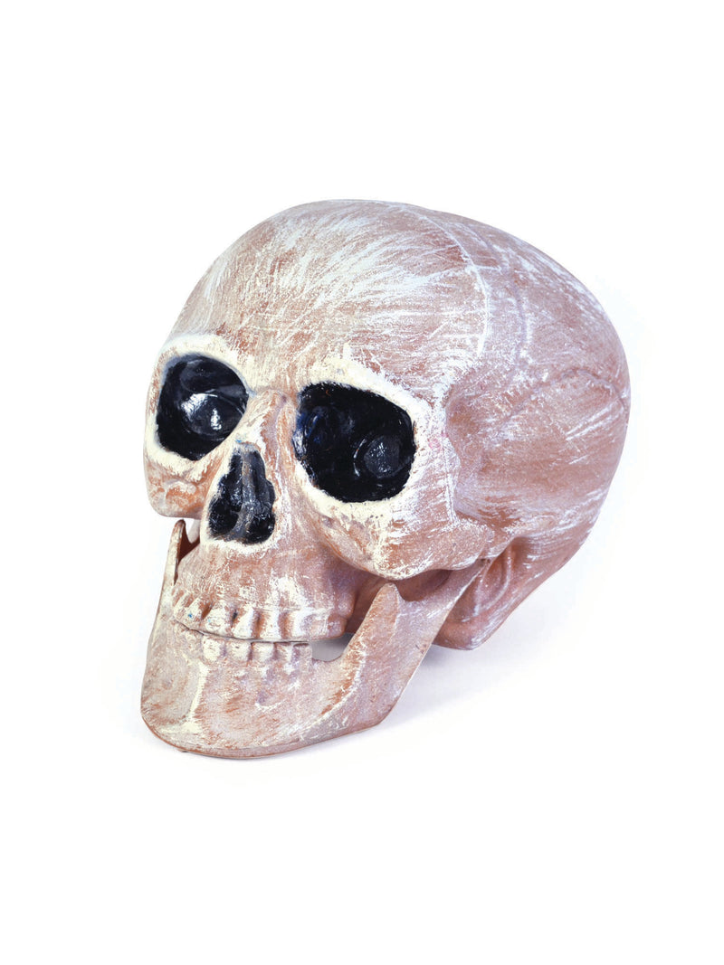 Realistic Skull Head Costume Accessory