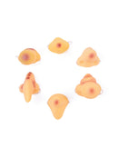 Vinyl Noses