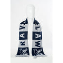 Ravenclaw Scarf