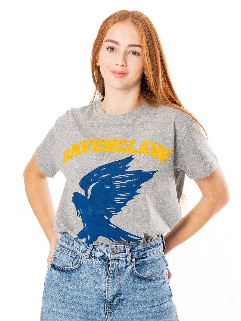Ravenclaw University T-Shirt