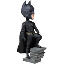 DC Comics Batman The Dark Knight From DC The Dark Knight