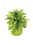 Small Holographic Balloon Weight