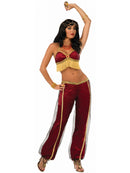 Adult Belly Dancer Costume