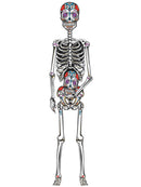 Day Of The Dead Card Decoration Costume Accessory