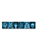 Mad Scientist X-Ray Banner Costume Accessory